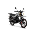 Маленькое фото товара - Мопед ROCKOT ALPHA OFFROAD (серый металлик). Вариант №8