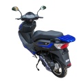 Маленькое фото товара - Мопед ХОРС 058 (синий). Вариант №7