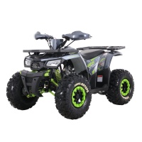 Фото товара - Квадроцикл ХОРС 024 (серый)