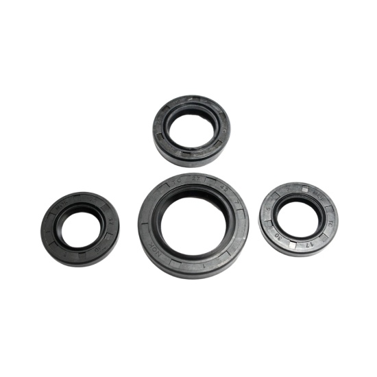 Большое фото товара - Сальники комплект GY6 50-80cc (139 QMB) Rockot-Motors, 28696. Вариант №1