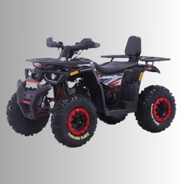 Фото раздела - Квадроциклы