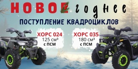 Новое поступление квадроциклов